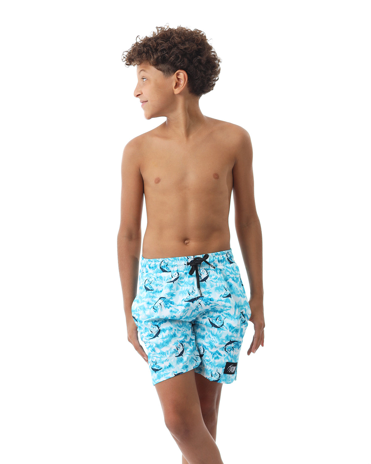 Shark Attack Boy's Aqua Swim Short-Atum -26285099